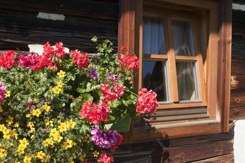 Schrunerhof Ebene Reichenau Ruang foto