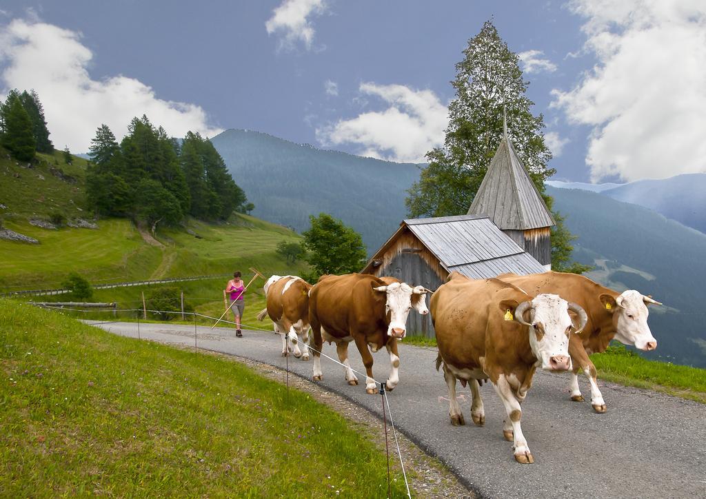 Schrunerhof Ebene Reichenau Ruang foto