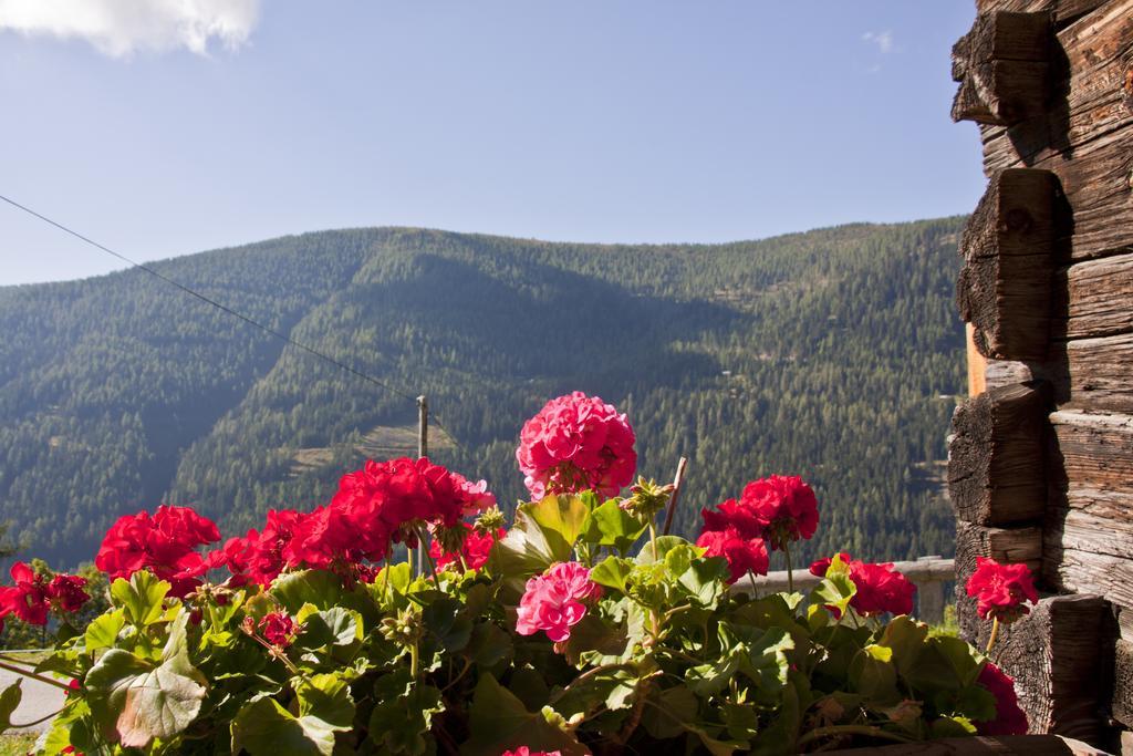 Schrunerhof Ebene Reichenau Ruang foto