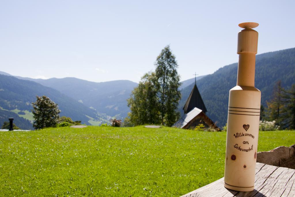 Schrunerhof Ebene Reichenau Ruang foto