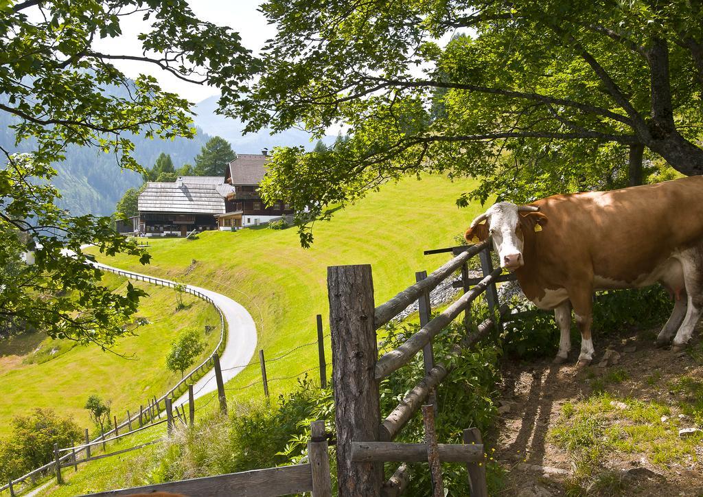 Schrunerhof Ebene Reichenau Bagian luar foto