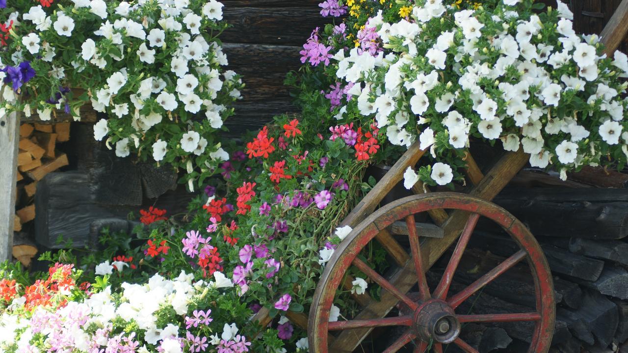 Schrunerhof Ebene Reichenau Bagian luar foto