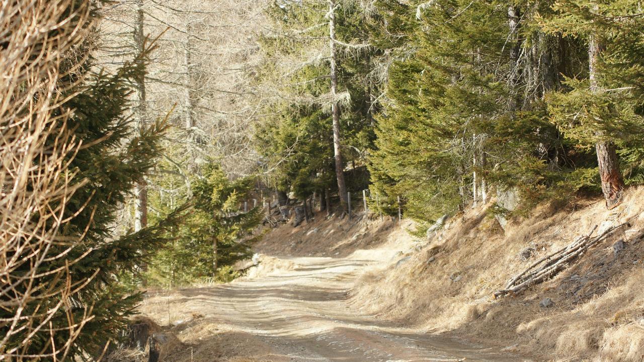 Schrunerhof Ebene Reichenau Bagian luar foto