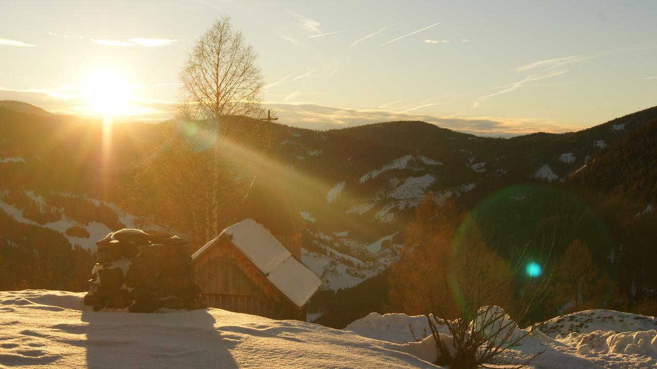 Schrunerhof Ebene Reichenau Bagian luar foto