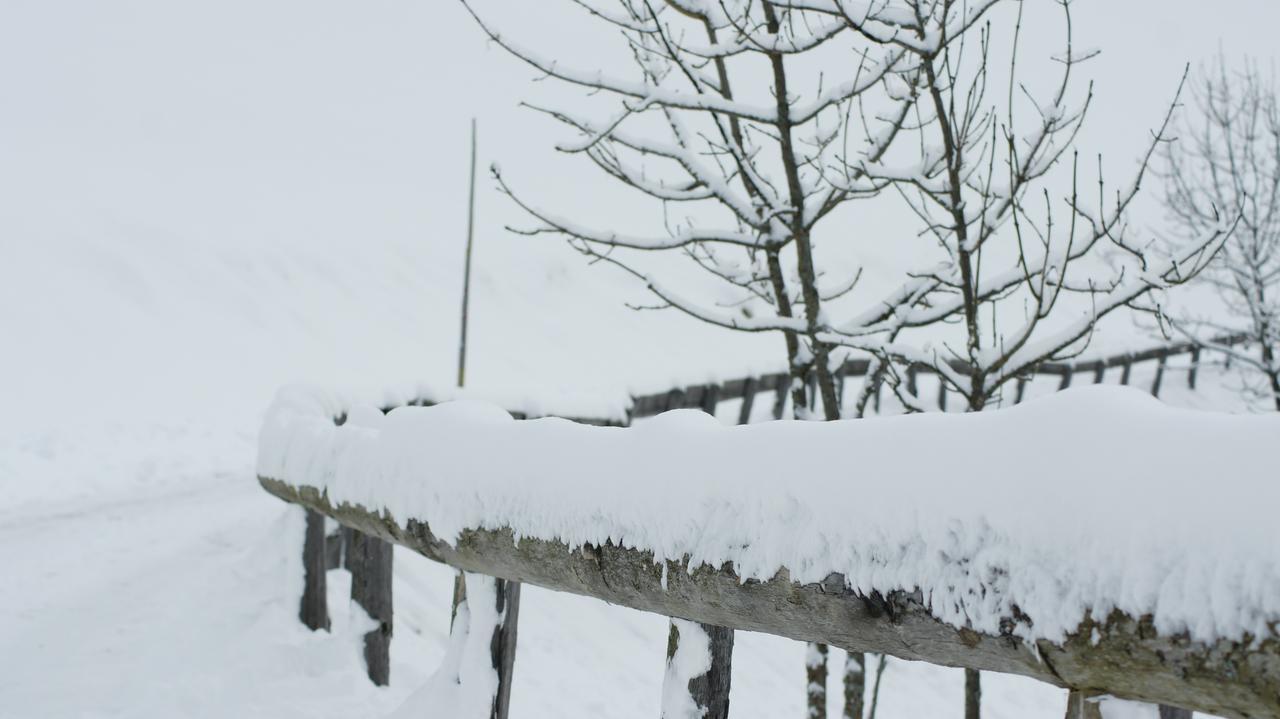 Schrunerhof Ebene Reichenau Bagian luar foto